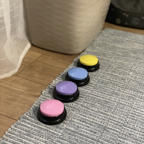 Dyrelydknapper Flerfarget Plast