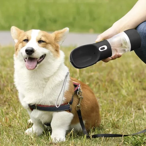 Vannflaske Med Skål For Hund Blå Plast