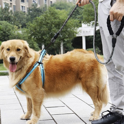 eng_pl_Reflective-training-leash-3m-Purlov-21654-16653_3.jpg Refleks Treningsbånd 3 m