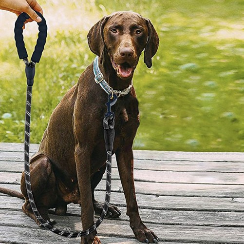 eng_pl_Reflective-training-leash-3m-Purlov-21654-16653_4.jpg Refleks Treningsbånd 3 m