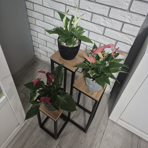 Blomsterstativ Brun 67 cm Metall