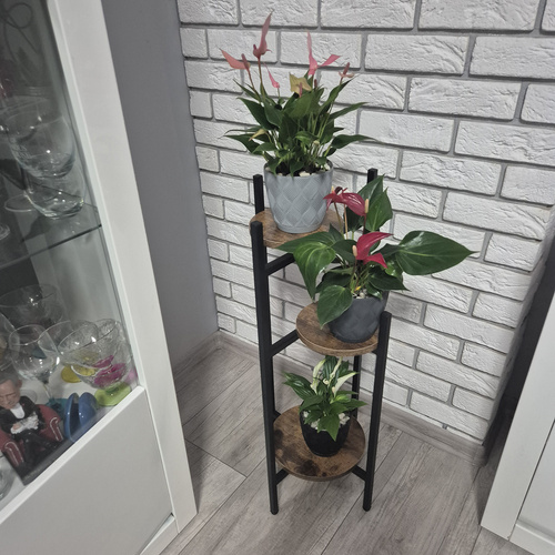 eng_pl_Standing-flower-stand-80cm-Ruhhy-25627-18124_2.jpg Blomsterstativ Brun 80 cm Metall